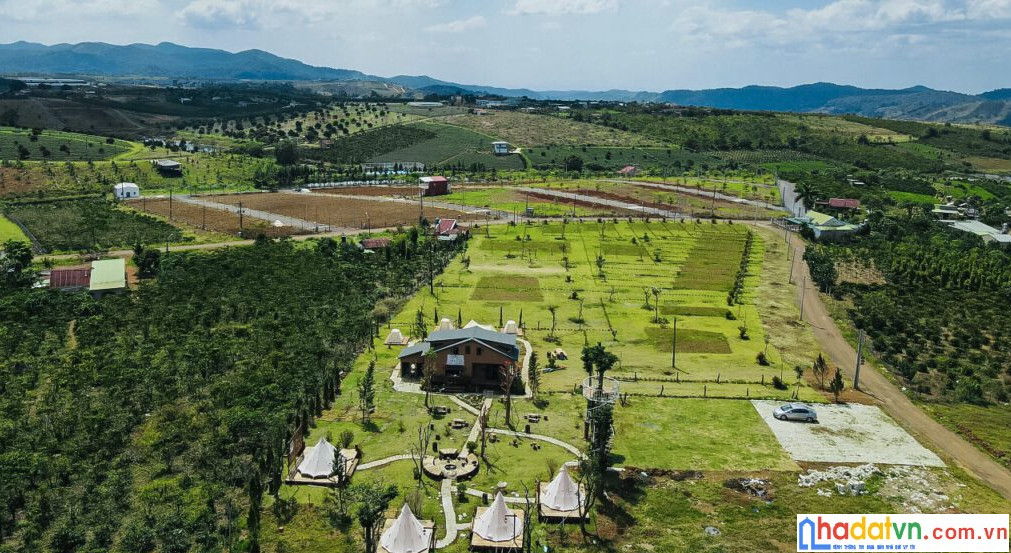  Loc Tan Garden