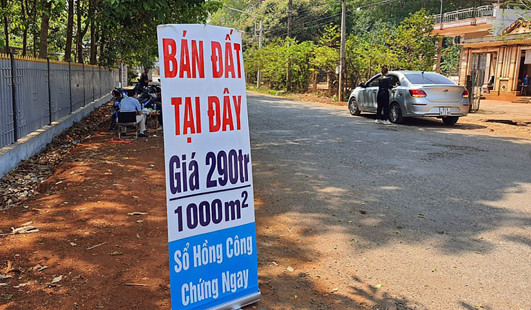 lam co dat co giau khong