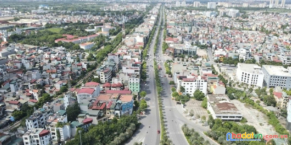 phuong bo de
