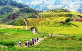 Đất và cách phân loại đất sử dụng tại Việt Nam