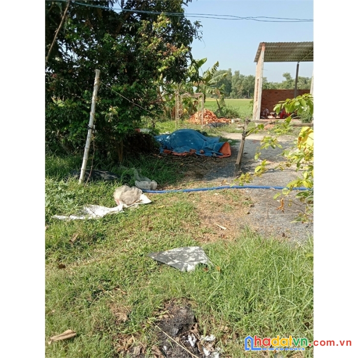 Bán đất đẹp full thổ tân phú đức hòa long an