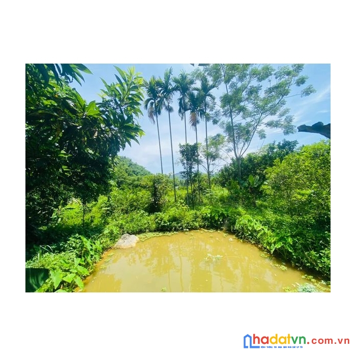 Bán đất dt 842m2 full thổ cư tân lạc - hòa bình giá nhỉnh 5xx triệu