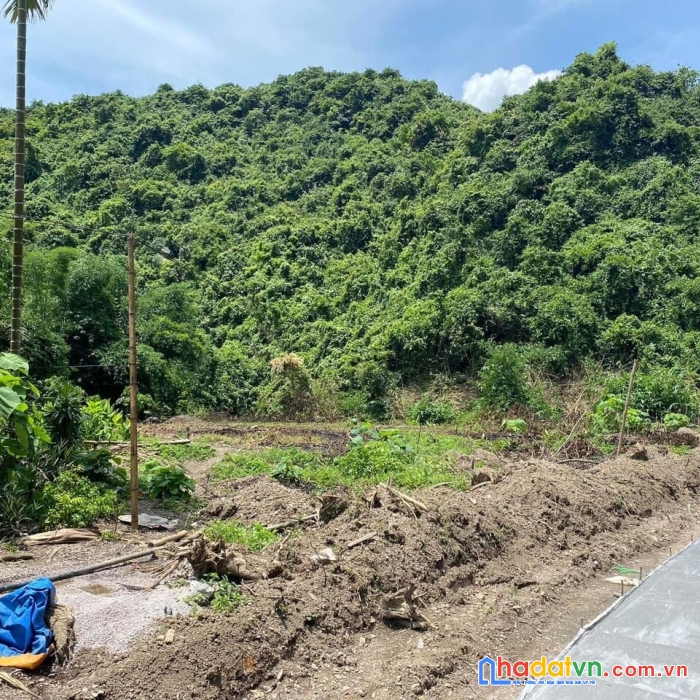 Bán đất lương sơn - hòa bình giá 5xx triệu dt 1000m2 có 200 tc