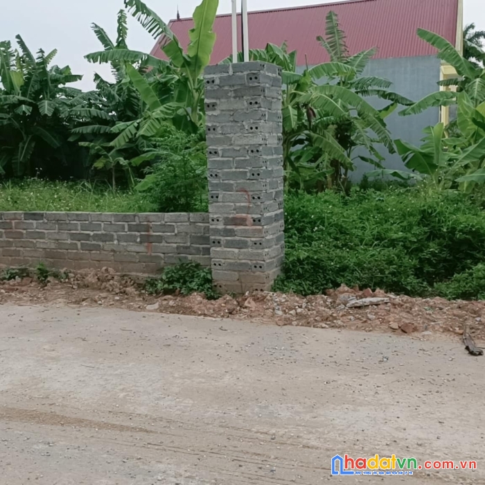 Bán lô đất tại quốc tuấn- an lão