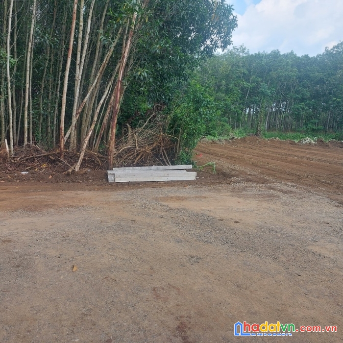 Cần mua đất lô, sào mẫu tại huyện châu đức, bà rịa vũng tàu