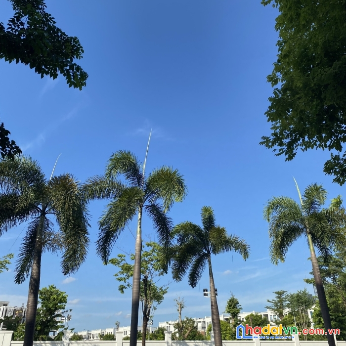 Sở hữu ngay căn hộ imperia smart city chỉ với 10% giá trị căn hộ