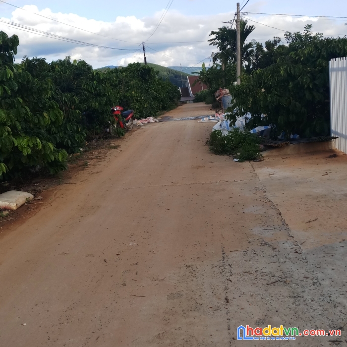 Bán đất nông nghiệp view đồi đẹp mê li, mê linh - lâm hà, bao rộng cho các dự án lớn