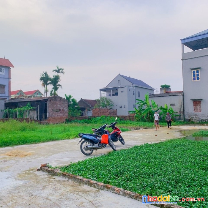Hoa hậu 48,5m2 đình trung, xuân nộn, giá tụt quần. chỉ hơn 1 tỷ