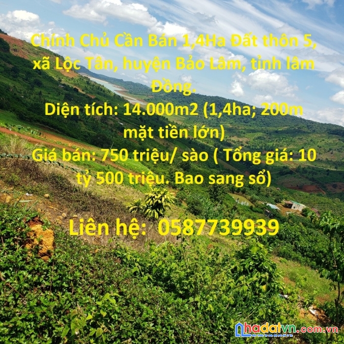 Chính chủ cần bán 1,4ha đất thôn 5, lộc tân, bảo lâm