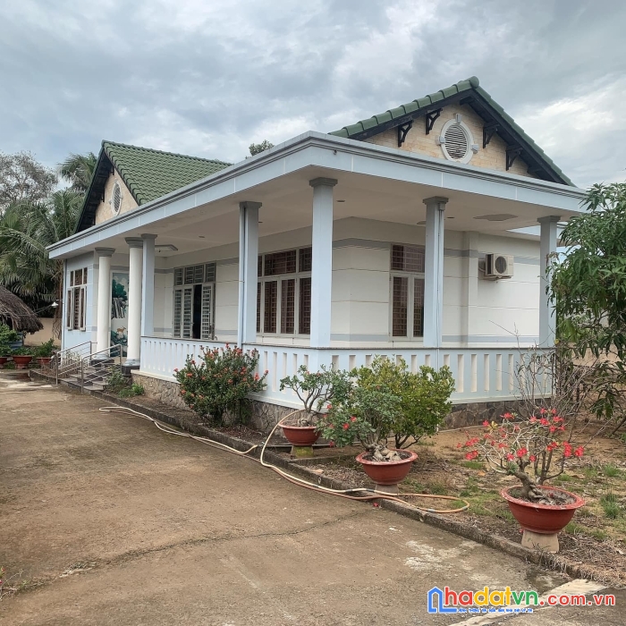 Hiếm!! nhà mái thái nguyễn duy trinh, long trường, tp.thủ đức ngang 28m, 1200m2, 90 tỷ