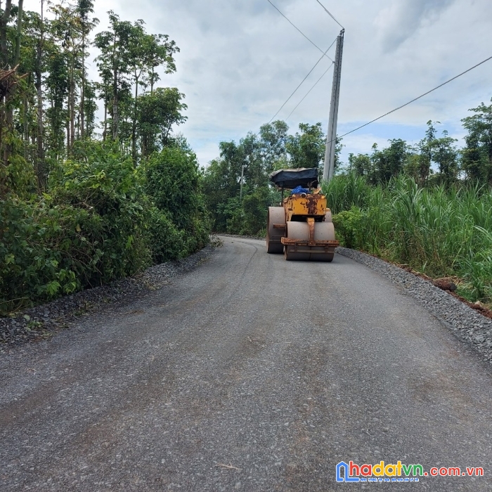 251m mặt tiền đường nhựa bình trung giá chỉ 1 tỷ
