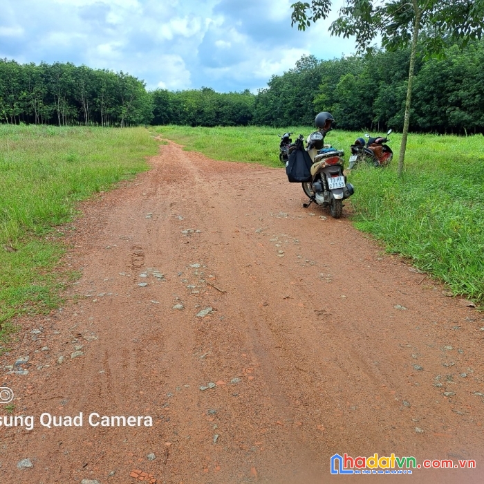 Chính chủ cần bán lô đất ️chánh phú hòa 39, bến cát, bình dương