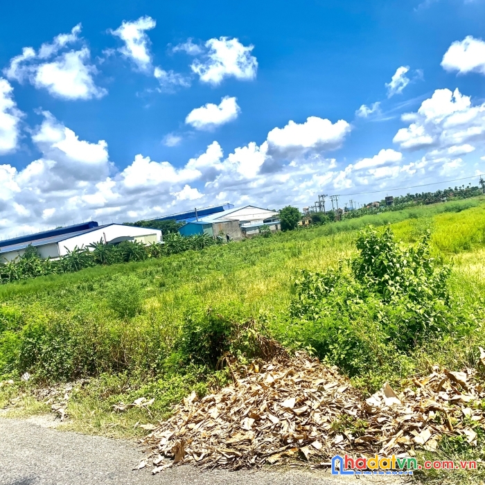 64.000m2 đất thương mại dịch vụ đường cao tốc hà nội , hải phòng giá 2tr/m2