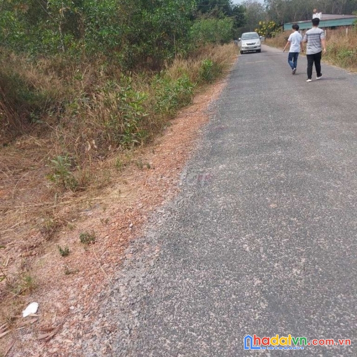 Bán đất thổ cư huyện dầu tiếng, bình dương. mt đường nhựa. giá 3.58 triệu/1m2