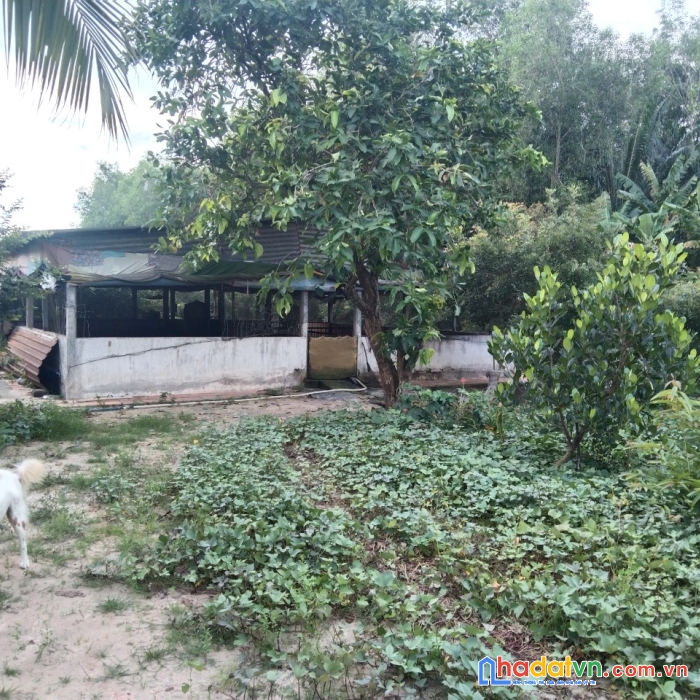 Cần bán đất vị trí đẹp tại tỉnh tây ninh