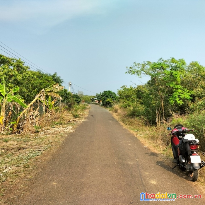 Giá 419 triệu khu dan cư đường nhựa nhà nước liền kề khu công nghiệp