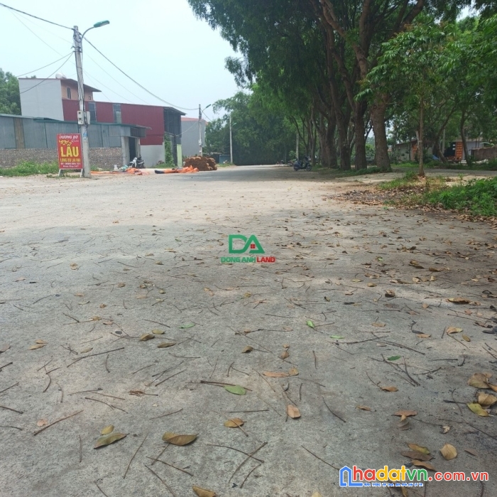 Bán đất đấu giá x2 hương trầm thụy lâm đông anh – đường 12m