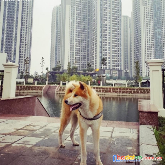 Chính chủ cần bán 3pn ,đn tại toà nhà sitech tower 304 hồ tùng mậu, nam từ liêm, hà nội. lh
