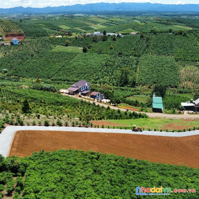 Bán đất tc mt đường lạc long quân, bảo lâm  143m2, 972tr sát chợ lộc quảng view thoáng