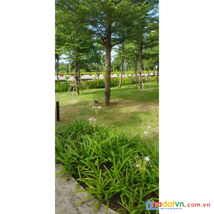 Chính chủ bán 143m2 đất thổ cư mặt tiền 30.4 vũng tàu 12.5tỷ.lh:0931308080