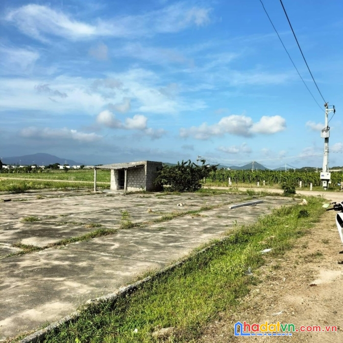 Sở hữu ngay lô đất đẹp vị trí đắc địa tại xã hòa minh huyện tuy phong tỉnh bình thuận
