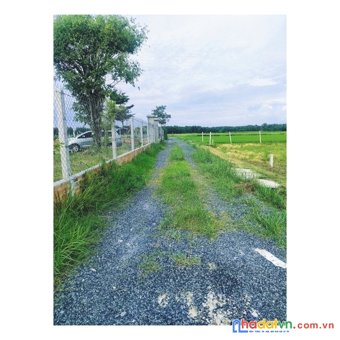 Bán đất ở ngã 3 trung lập và tl7 , xã trung lập thượng, huyện củ chi