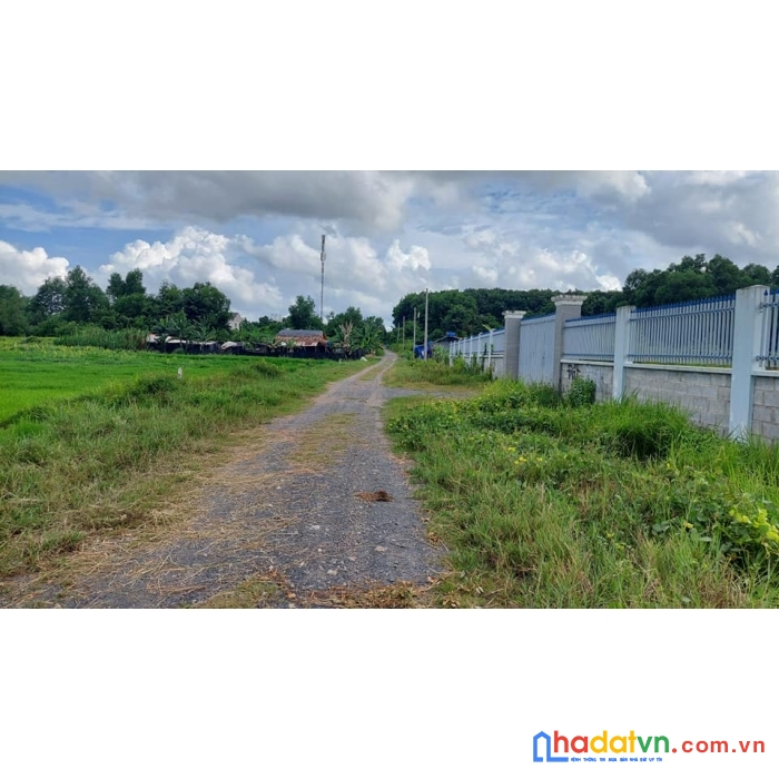 Đất tân phú trung củ chi đường 8m- ngang 17m 81m -1330m2-chỉ 7 tỷ 850