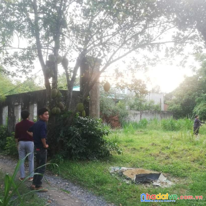 Cần bán gấp lô đất đẹp gía đầu tư mặt tiền tỉnh lộ 7, phước thạnh, củ chi, tphcm