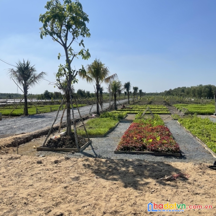 Một nền duy nhất – 679tr thành phố tây ninh – view núi bà đen