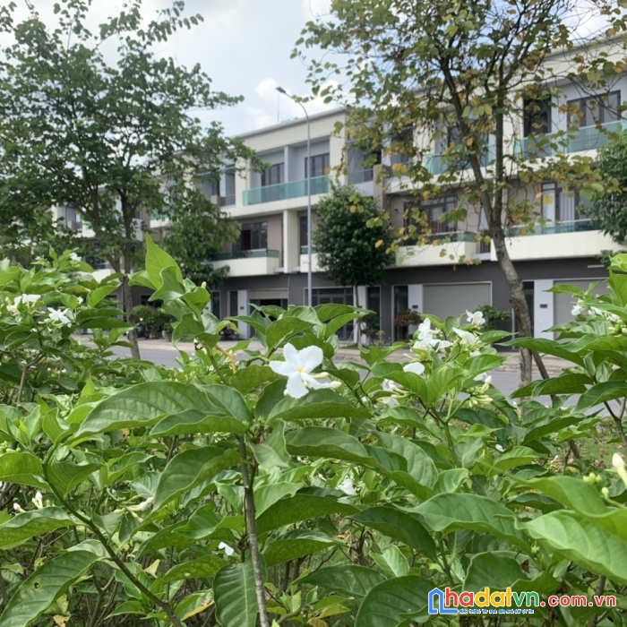 Bán nhà phố trục chính hướng nam siêu đẹp khu đô thị vsip