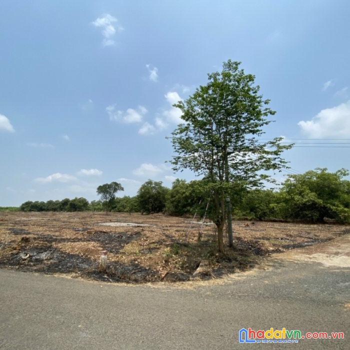 Giá 600 triệu lô góc 2 mặt tiền gần 300m2 thổ cư 100m2 ngay khu dân cư.