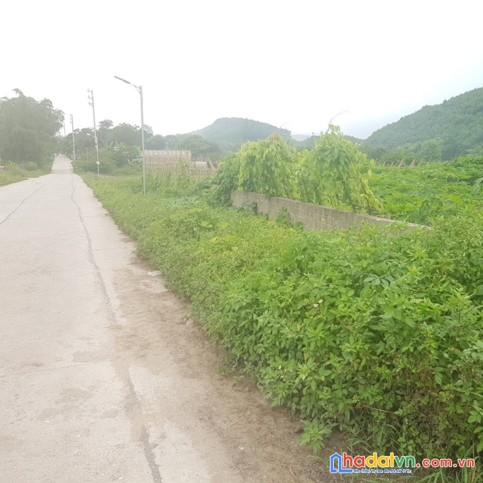 Bán 246.2 m2 thôn tràng hương, xã đoàn kết, huyện vân đồn