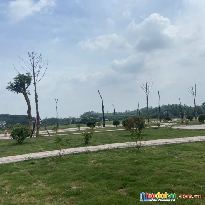Cần cắt lỗ gấp lô đất nền nhã nam tiến phan,nợ nhiều quá e bán chứ cũng tiếc lắm vì giá đất đang