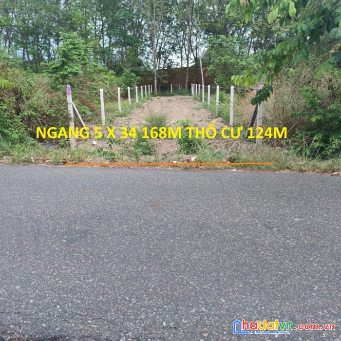 Chủ ngộp bán rẻ lô đất thổ đường nhựa 10m