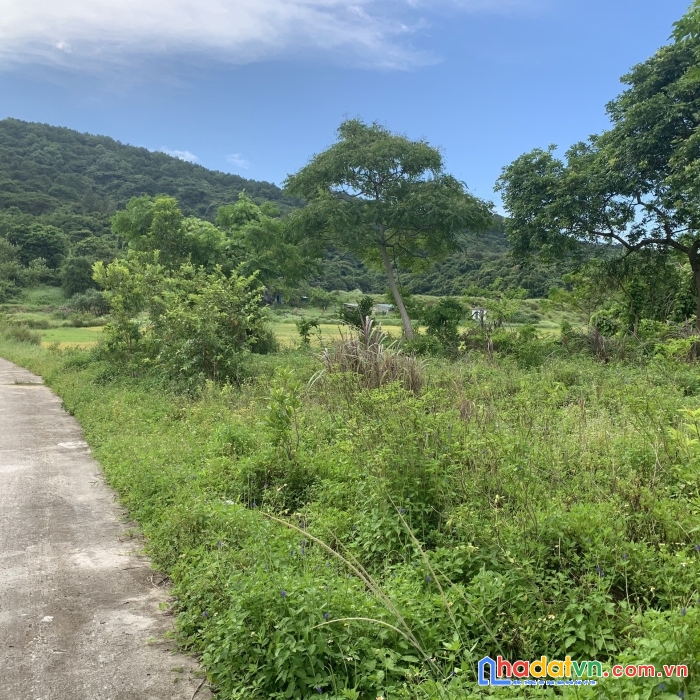 Mảnh đất tiềm năng đón sóng quy hoạch cô tô 247m2