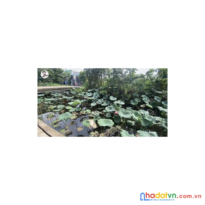 Biệt thự sân vườn đẹp 1000m2 thổ cư gần chợ bình chánh – tp hồ chí minh