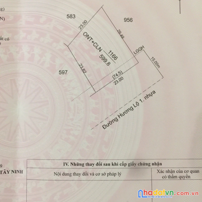 Đất cây xoài thanh phước gò dầu