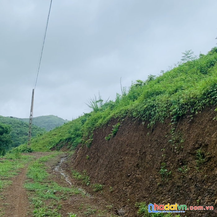 Bán 4200m đất rừng sản xuất tại cao phong - hòa bình