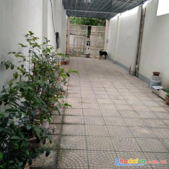 Sát mặt phố quang trung-phân lô cán bộ-ô tô đỗ cửa-diện tích 55m2-giá 5.2 tỷ