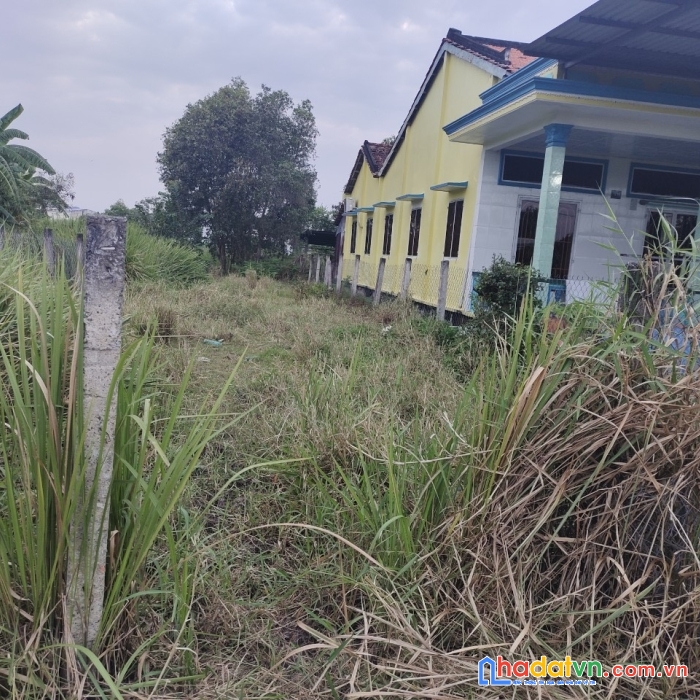(bình chánh- đất vườn) 237m2 đất vườn tân quý tây giá 10tr/m2.
