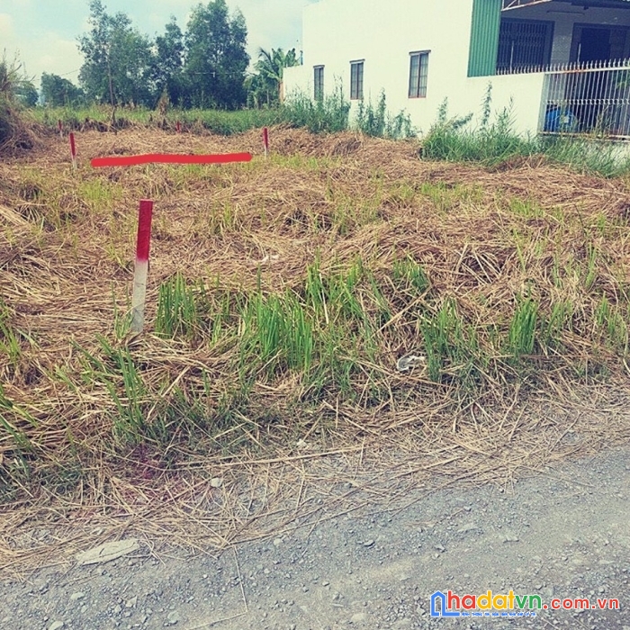 Bán đất nền khu phố kim định , tt cần giuộc 125m2, 2tỷ2