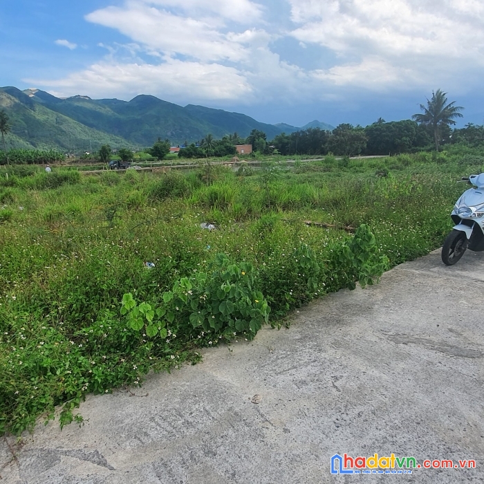 Bán lô đất thôn võ dõng, xã vĩnh trung, tp nha trang, khánh hòa (tương lai xã lên phường đô thị)
