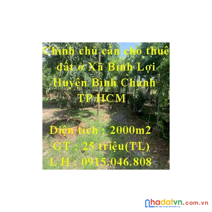 Chính chủ cần cho thuê đất ở xã bình lợi - huyện bình chánh - tp hcm