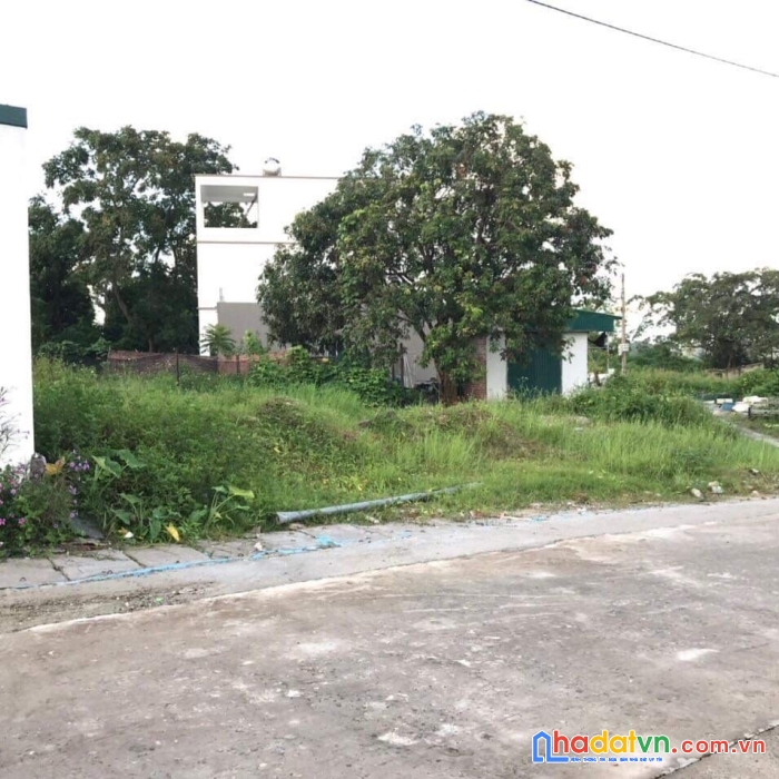 Cần bán gấp 313,4m2 đoàn kết- vân đồn khu đất gồm 01 sổ hồng đối diện kcn nam sân bay