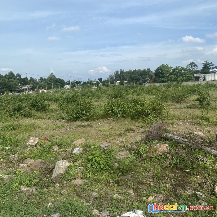 Cần bán đất nền tại trung tâm tân phú với giá chỉ từ 9,9 tr m2