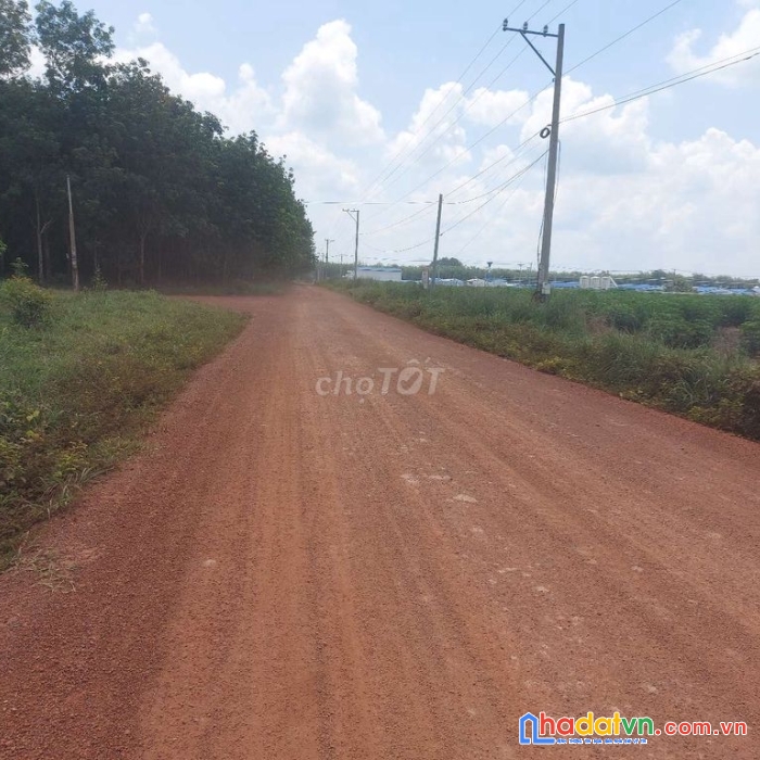 Chính chủ cần bán đất huyện chơn thành, tỉnh bình phước liên hệ: 0961188445