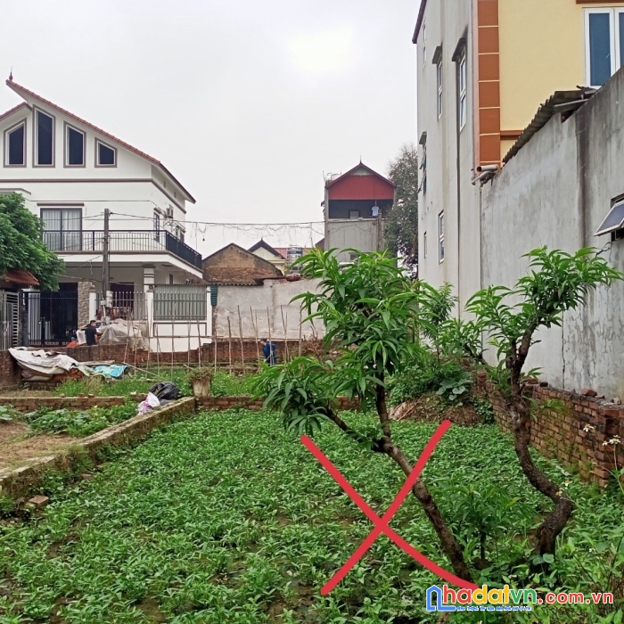 Chuyển nhượng lô đất hương gia xã phú cường