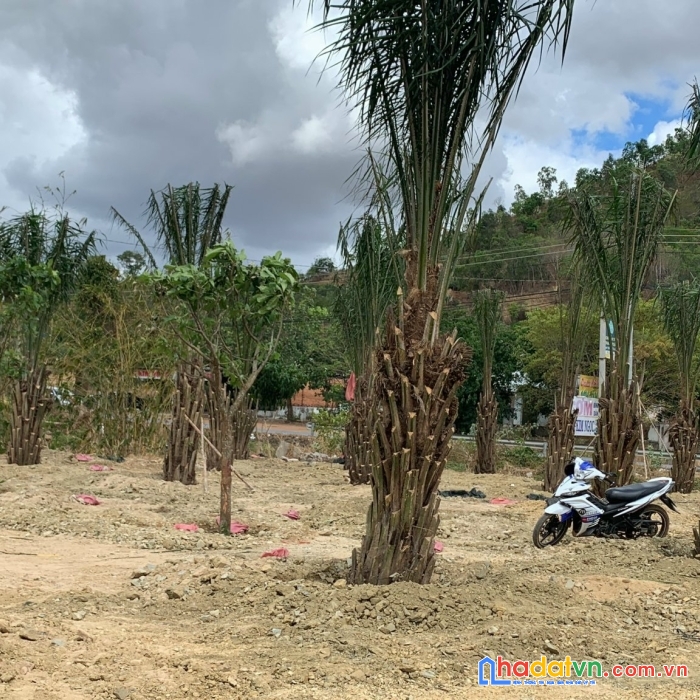 Đất thổ cư bao đẹp mặt tiền ql1a, hàm tân, bình thuận