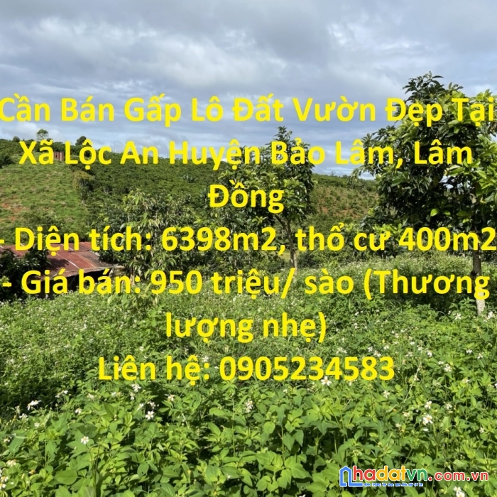 Cần bán gấp lô đất vườn đẹp tại xã lộc an huyện bảo lâm, lâm đồng