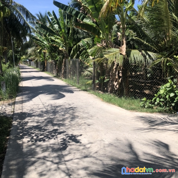 Cần bán lô đất đẹp tại quới sơn , châu thành , bến tre